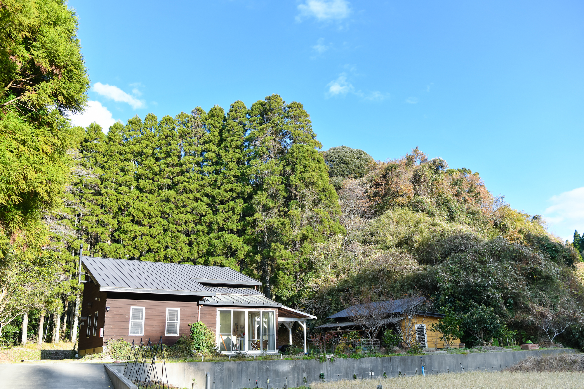 岩井ファーム_005-1